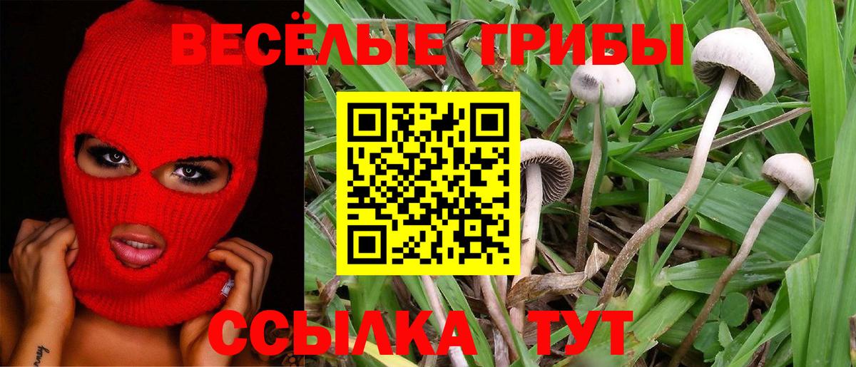 Псилоцибиновые грибы мухоморы Грязи